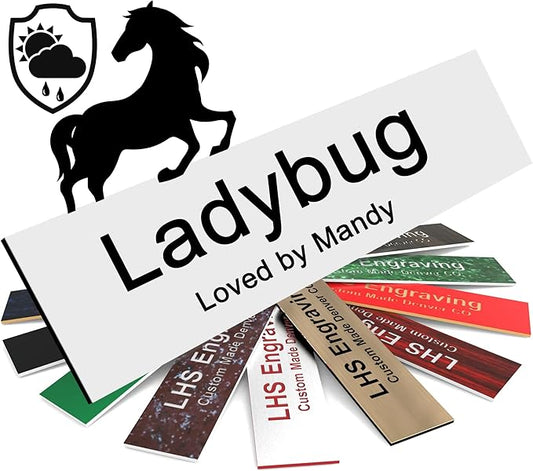 Personalized Horse Stall Name Plates, 2x6 Horse Stall Signs with Adhesive, All Weather UV Protected, White Plastic Black Letters - Made in USA - B16