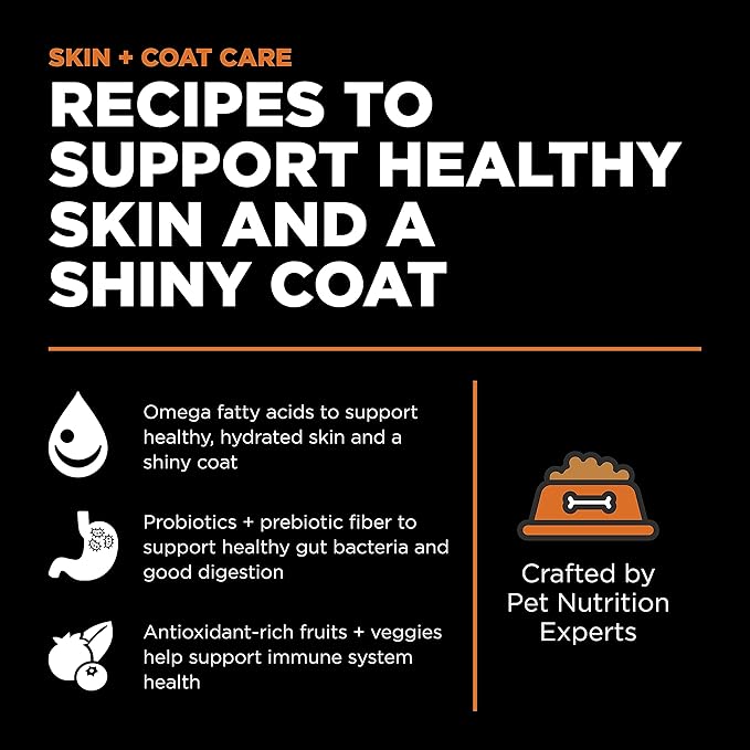 Go! Solutions Skin + Coat Care, Dry Dog Food, Salmon Recipe with Grains, 12 lb Bag