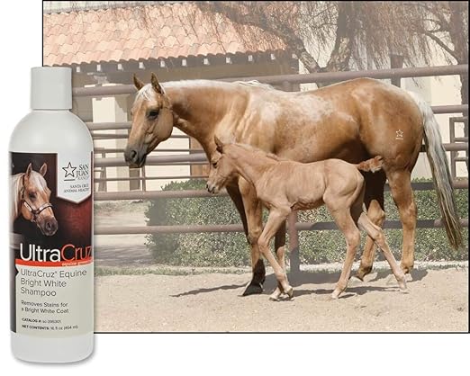 UltraCruz - sc-395301 Equine Bright White Horse Shampoo, 16 oz,Purple