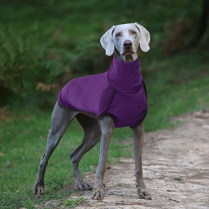 ROZKITCH Dog Sweaters for Small Dogs Male, Pet Windproof Warm Cold Weather Jacket Vest Cozy Jumpsuit Apparel Outfit Clothes for Walking Hiking Travel Sleep Purple S