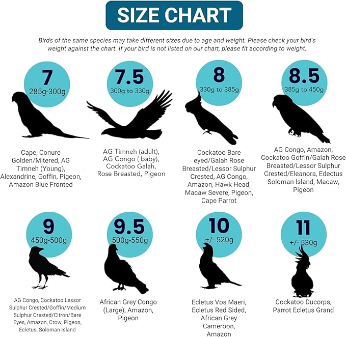 Bev's Bird Boutique Regular Flyper Adjustable Bird Diaper | Reusable, Washable Cloth | Comfort Fit for Parrot, Cockatiels, & Other Small Birds | Fashionable Avian Accessories, Navy & Red, Size 9.5