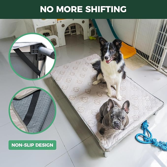 FXW TitanNest Chew-Proof Elevated Dog Bed, Raised Cot for Indoor/Outdoor/Camping Use, Durable & Waterproof Cooling Pet Bed with Exclusive Cover for Small Dogs, 36.0" L x 24.0" W x 4.5" H, Black