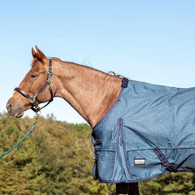 Jeffers Poplar Head 600 Denier Turnout Sheet for Horses, 0g Polyfill, 66"- Waterproof, Windproof Lightweight Horse Blanket, Adjustable Chest Belly Straps, Tail Flap, Stable Blanket - Blue Jean Baby