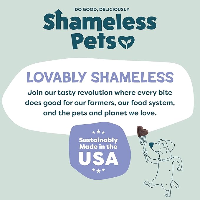 Shameless Pets Soft-Baked Dog Treats, Blueberried Treasure - Natural & Healthy Dog Chews with Mint for Immune Support - Made in USA, Free from Grain, Corn & Soy - 1-Pack