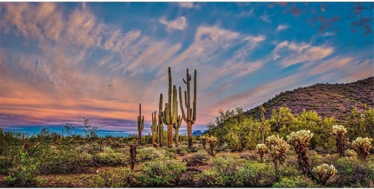 AWERT 24x12 inches Terrarium Background Blue Sky Cloud Huge Cactus Oasis Gobi Reptile Habitat Background Vinyl