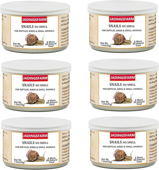 6 Pack Canned Snails for Reptiles, Fish, Birds and Small Animals, Snails, Healthy High Protein Treat, Reptile Bird Fish Food 7.2 Ounces Total