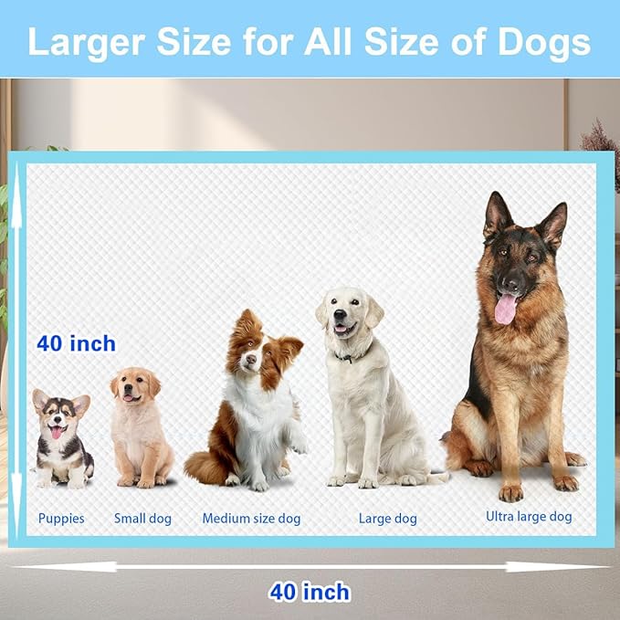 XXXXL 40 Count Dog Cat Puppy Pee Pads,40"x40" Super Absorbent Puppy Pads Leakproof Quick-Dry Disposable Pet Pads for Puppies, Dogs Cats Indoor, Outdoor, Housebreaking Use