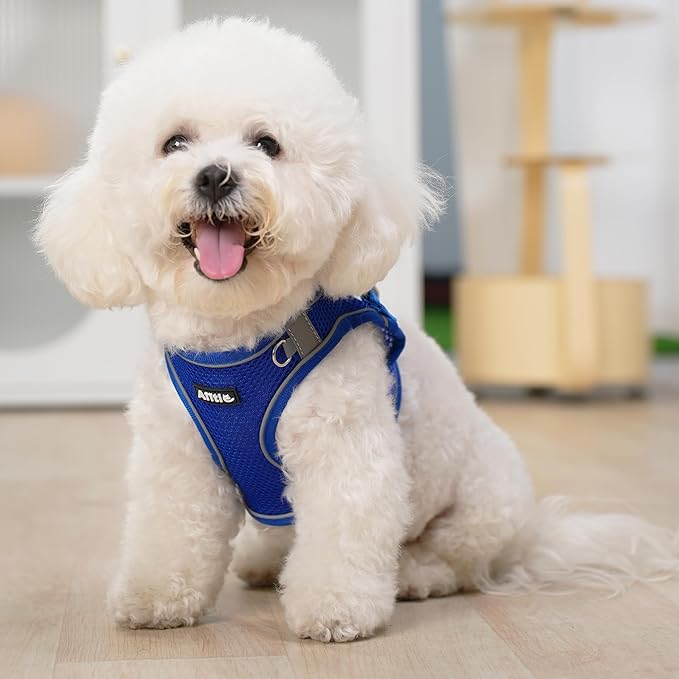 AIITLE Easy Walk Dog Harness and Leash Set - Pet Supply No Pull, Step in Adjustable Pet Harnesses with Padded Vest for Summer, No Choke Over, Easy to Put on Medium Dogs Royal Blue L