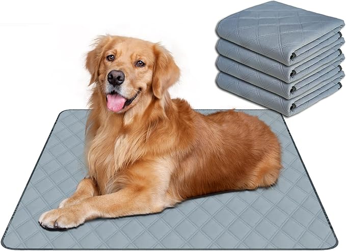 RIOUSSI Washable Pee Pads for Dogs, Reusable, Absorbent, Leakproof, Non Slip Pet Puppy Pads for Potty Training. Light Gray, 31x36 Inch(4pack)