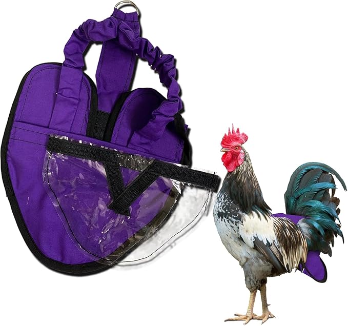 Hen Holster Wrap-Around Bird Diaper & Harness for Hens, Roosters, Ducks, Geese - with Removable Vinyl Liner, Adjustable Fit for Outdoor Adventures & Indoor Use - Easy to wear - Large, Purple