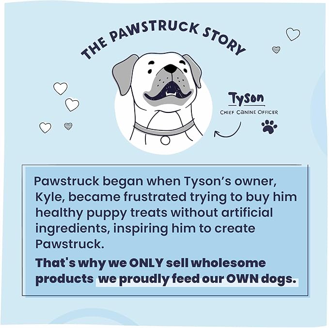 Pawstruck Large Himalayan Yak Cheese Chews for Dogs - Premium Long Lasting Natural Treat for Aggressive Chewers Limited Ingredient - Pack of 10 - Packaging May Vary