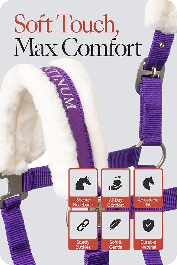 HORZE Howard Soft Fleece Padded Adjustable Polyester Horse Halter - Purple - Shetland