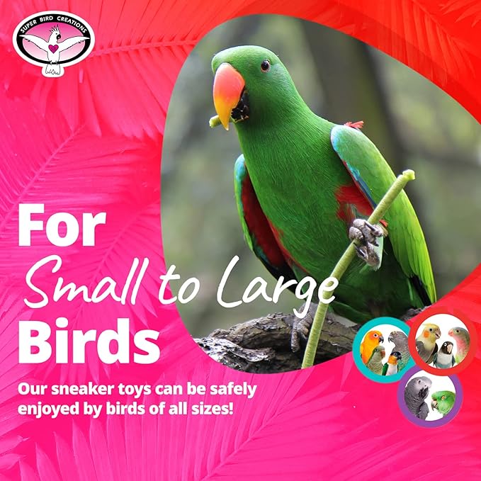 Super Bird Creations SB50011 Sneaker Bird Toy - Durable Safe Chew Toy - Ideal for Cockatiels Parakeets Parrots Small to Large Birds - Vibrant, Assorted Colors 3" x1-1/2 x 1-3/8" (24 Pack)