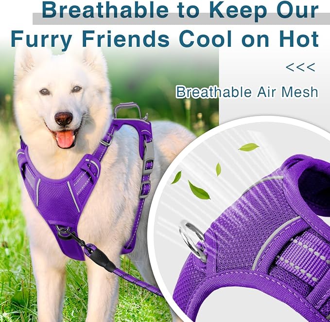 BARKBAY Dog Harness No Pull with ID Tag Pocket - Heavy Duty, Reflective, Easy Control for Small Dogs(Purple,S)