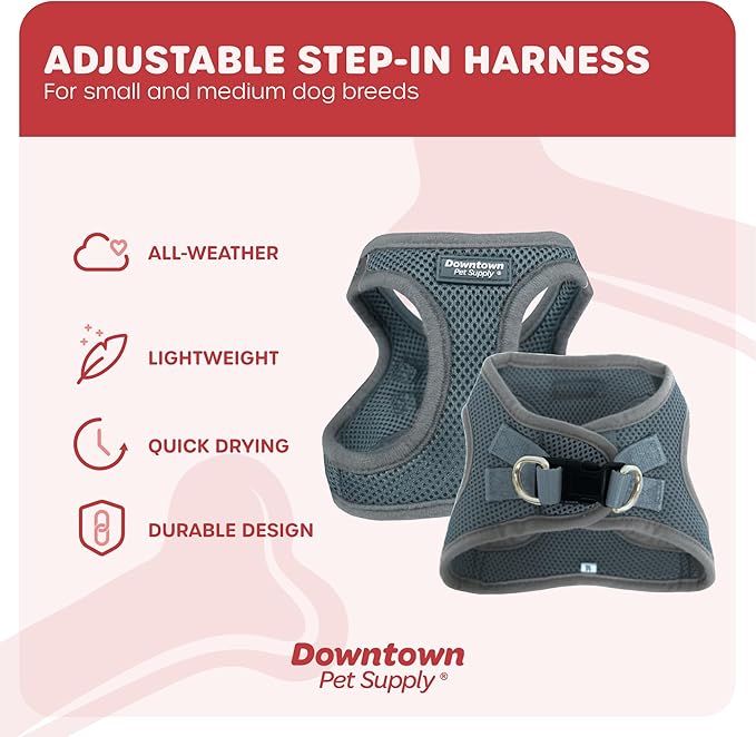 Downtown Pet Supply Step in Dog Harness for Small Dogs No Pull, Small, Titanium - Adjustable Harness with Padded Mesh Fabric and Reflective Trim - Buckle Strap Harness for Dogs
