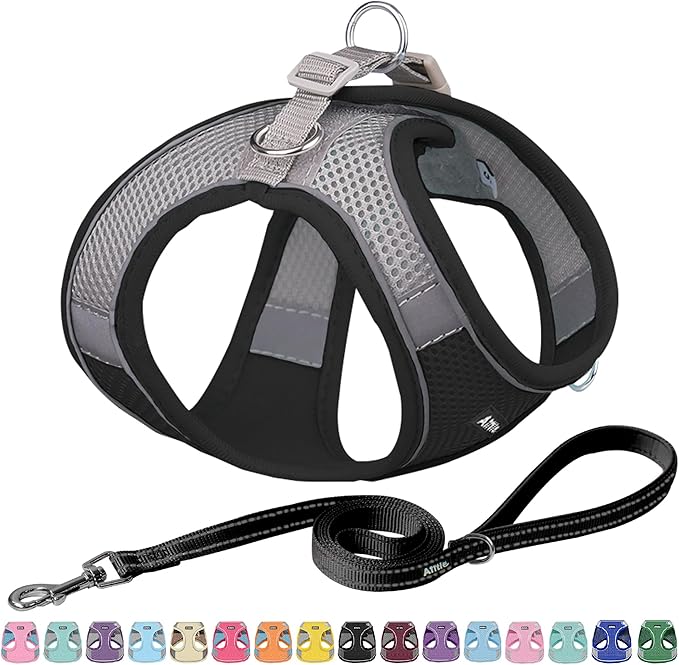 AIITLE Small Harness for Puppy with A Leash - Summer Dog Vest Harness with Super Breathable Mesh, Reflective No-Pull Pet Harness for Outdoor Walking, Camping for Small Dogs, Cats Black XXS