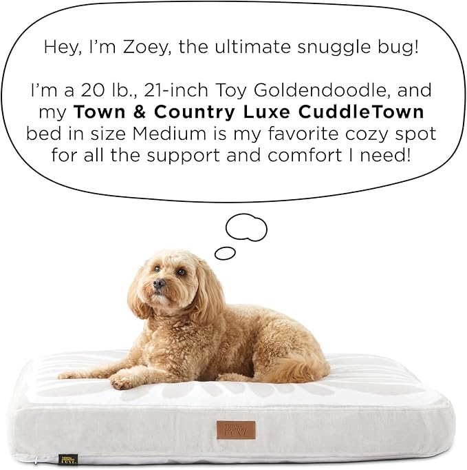 TOWN & COUNTRY LUXE CuddleTown Matisse Everwash® Pillow Pet Bed, Water Repellent Floor Pillow, Machine Washable Cover, Soft & Calming, Green, Medium 36"x28"x4"