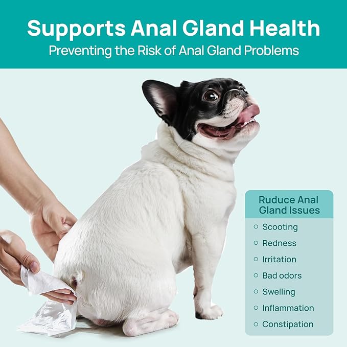 HICC PET Wipes for Dogs & Cats, Vet Recommended Cleaning Deodorizing & Soothing Allergy Infections Anal Gland Wipes, Hypoallergenic Hydrating & Nourish Fur Dog Grooming Wipes for Paw, Butt, Body