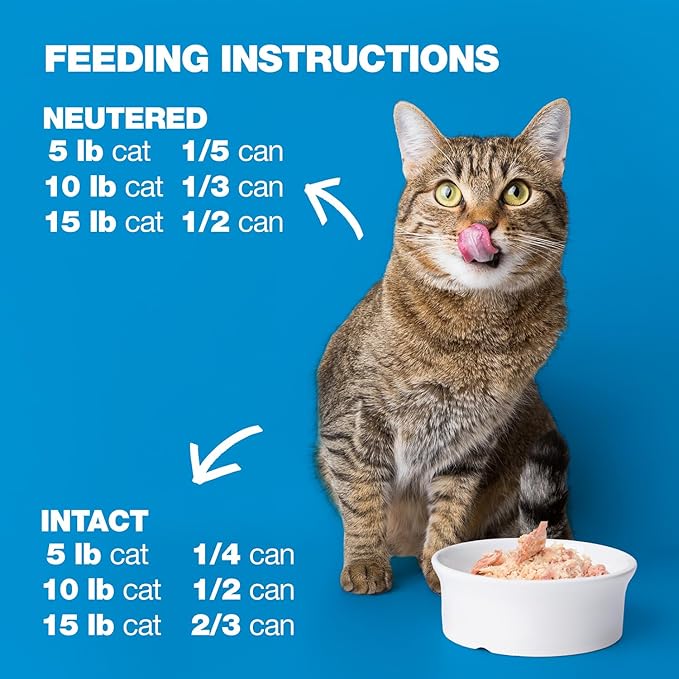 Natural Code Limited Ingredient Wet Cat Food Topper, High Protein, Low Fat, Additive-Free, Non-GMO, No Artificial Colors or Flavors, Tuna & Turkey in Aspic for Adult Cats, 24 Pack of 3oz Cans