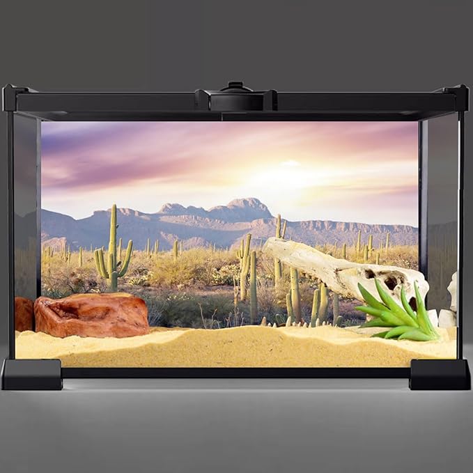 AWERT Reptile Habitat Background Blue Sky Oasis Mountain Cactus Sun and Desert Terrarium Background 48x24 inches