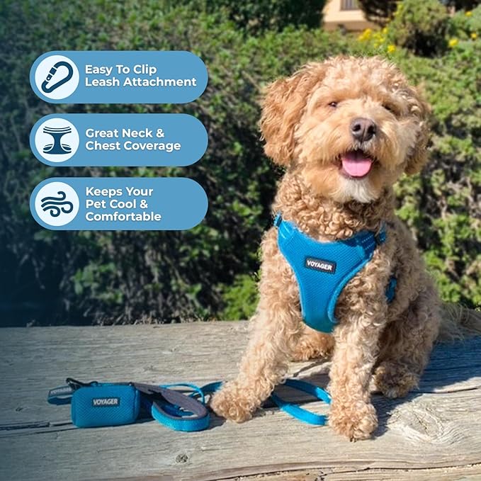 Best Pet Supplies Voyager Mesh Dog Breathable Harness Reflective Stitching, All Weather Adjustable for Walking Training, or Running - Heavy Duty & Durable, Harness (Turquoise), S