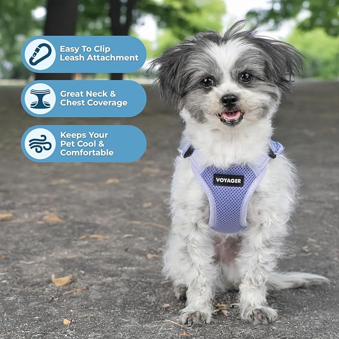 Best Pet Supplies Voyager Mesh Dog Breathable Harness Reflective Stitching, All Weather Adjustable for Walking Training, or Running - Heavy Duty & Durable, Harness (Lavender), L