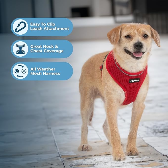 Best Pet Supplies Voyager Mesh Dog Breathable Harness Reflective Stitching, All Weather Adjustable for Walking Training, or Running - Heavy Duty & Durable, 220 Style (Red), XS