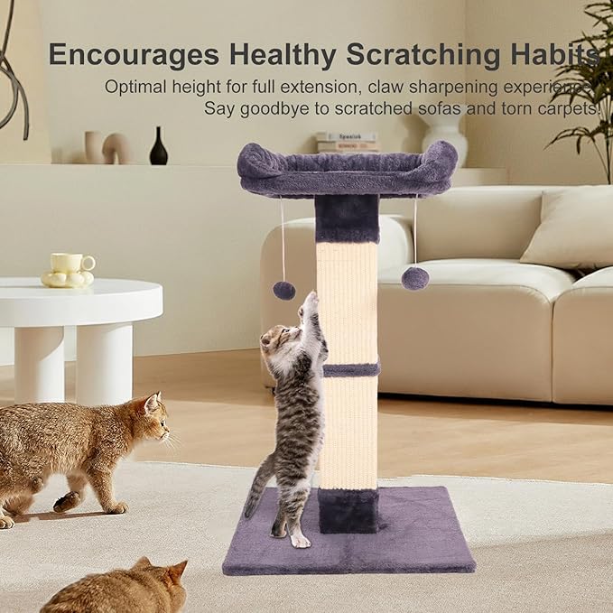 34" Cat Scratching Post for Indoor Cats, Sisal Cat Scratcher with Plush Perch and with Two Dangling Balls, Large Scratch Post with Bed, Removable Cover, Sisal Fabric