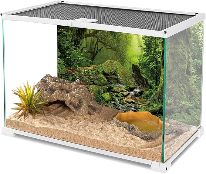 AWERT Tropical Forest Terrarium Background Stream Green Huge Tree Reptile Habitat Background Foggy Rainforest Aquarium Background 60x24 inches Durable Polyester Background