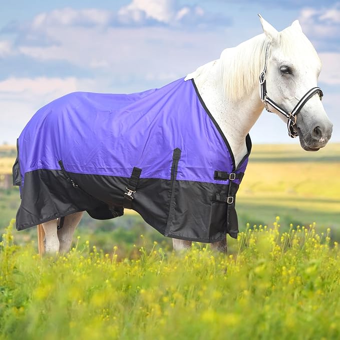 600 Denier Rip-Stop Horse Rain Sheet Lightweight Waterproof and Breathable Turnout Horse Blanket (No Fill) Violet/Black 75
