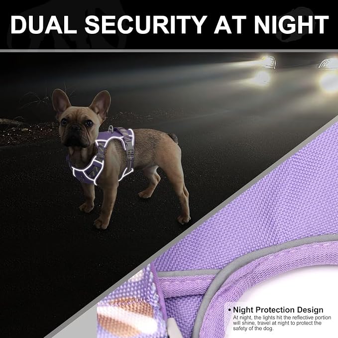 No Pull Dog Harness and Leash Set,Reflective Dog Harness with Easy Control Soft Handle,Adjustable and Comfortable for Easy Walking,Fit Small Medium Large Breed Dogs,Purple,S