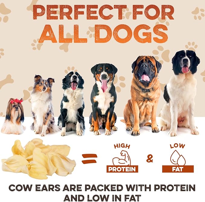 BRUTUS & BARNABY Cow Ears for Dogs – Halves 100 ct, Thick Cut, Grass-Fed Angus Beef, All-Natural No-Rawhide Dog Treat Alternative
