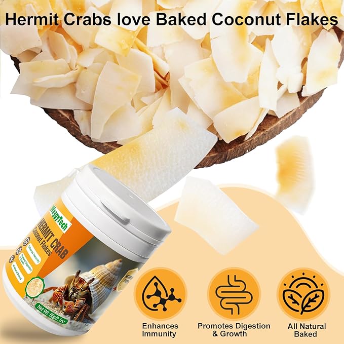 Hermit Crab Food - Baked Coconut Treat, Natural Dried Coconut for Crab Healthy & Additive Free, Easily Digestible Hermit Food Hermit - Ideal Crab Pet Snacks, Crispy & Delicious | 60g (Big)