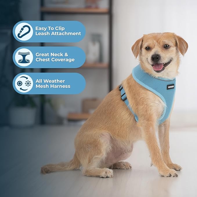 Best Pet Supplies Voyager Mesh Dog Breathable Harness Reflective Stitching, All Weather Adjustable for Walking Training, or Running - Heavy Duty & Durable, 220 Style (Blue), S