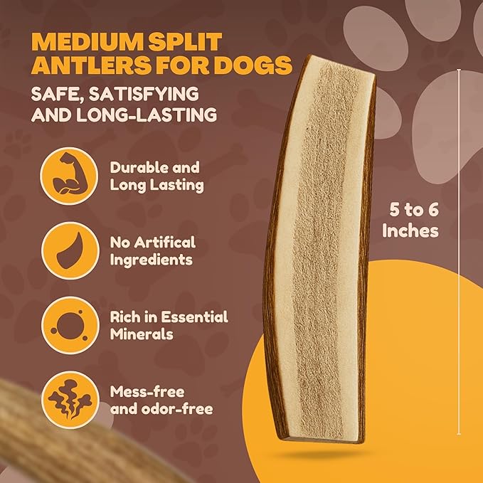 WhiteTail Naturals | Split-Cut Elk Red Deer Antlers for Dogs | (6 Pack Medium) | Cruelty Free | Naturally Shed Elk Dog Chew Bones