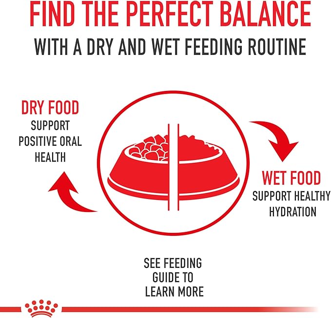 Royal Canin Size Health Nutrition Medium Adult Dry Dog Food, 4 lb Bag