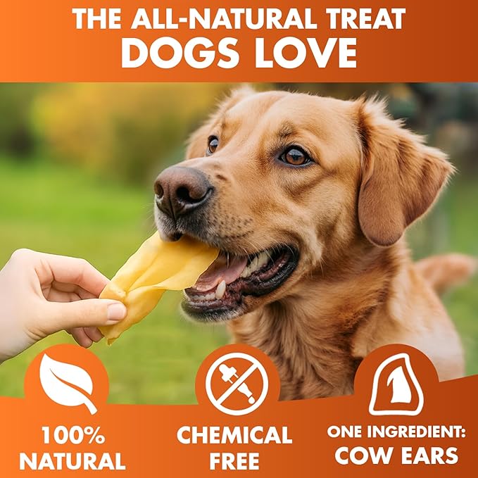 BRUTUS & BARNABY Cow Ears for Dogs – Halves 100 ct, Thick Cut, Grass-Fed Angus Beef, All-Natural No-Rawhide Dog Treat Alternative