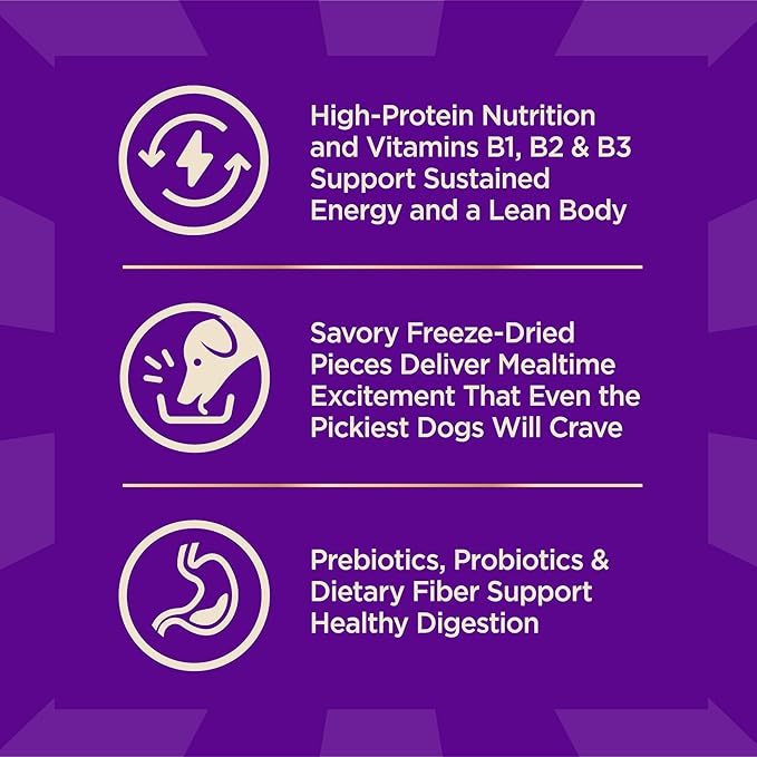 Wellness CORE+ (Formerly RawRev) Dry Dog Food with Freeze Dried Pieces, Wholesome Grains, High Protein, Natural, Beef & Barley Recipe, (4-Pound Bag)