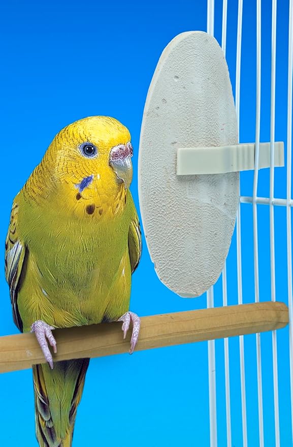 Penn-Plax Bird-Life (BA655) Natural E Cuttlebones | Enriched with Omega 3 and Vitamin B1 | Great for All Birds | 2 Cuttlebone Treats per Package