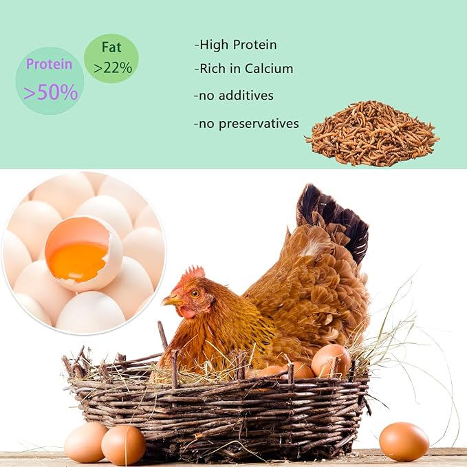Dried Mealworms 5LB-High Protein Chicken Feed,More Protein,No Additives,Premium Organic Non-GMO,Rich in Protein Meal Worms for Chickens,Wild Birds,Laying Hens,Turkeys-Nutrient-Rich Mealworms