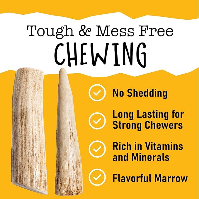 Snatchers Split Elk Antlers for Dogs – Long Lasting Dog Chews and Dog Toys for Aggressive Chewers, Naturally Shed Deer Antlers for Dogs Processed in The USA, No Additives (Extra Large, 8-9", 1 Count)