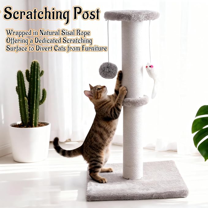 2 Pack Cat Scratching Post, Heavy Duty and Thicker Cat Scratching Post, Sisal Rope with Hanging Ball and Mice Scratching Post for Indoor Cats and Adult