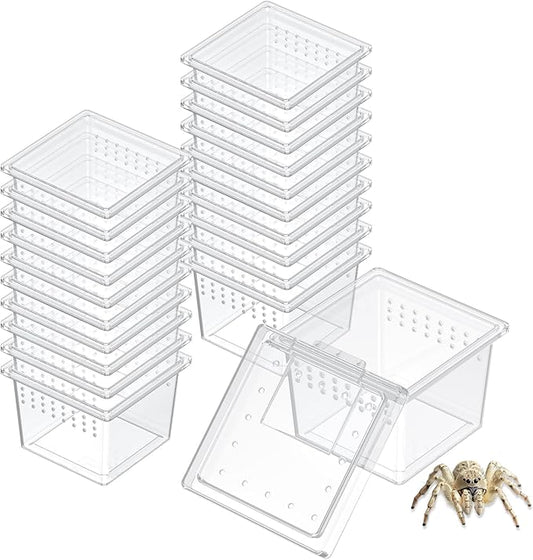 Pawfly 20 Pcs Mini Spider Terrarium Breeding Box, Transparent Plastic Jumping Spider Enclosure Cricket Keeper Tarantula Enclosure, Small Reptile Hatching Container for Scorpion Centipede Gecko Mantis