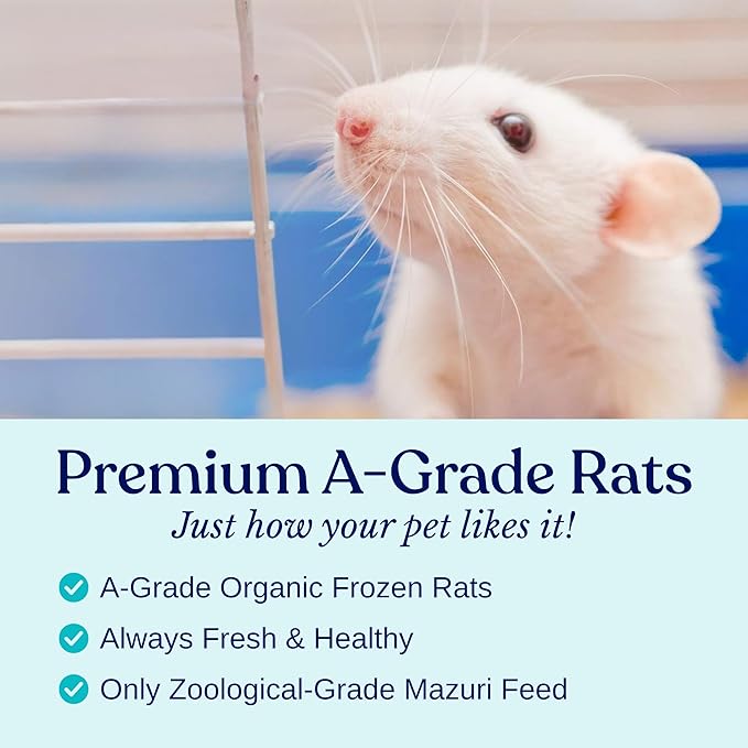 MiceDirect Frozen Large Adult Feeder Mice Food for Adult Ball Pythons Juvenile Red Tale Boa Monitors Lizards, 40 Ounce (100 Count)