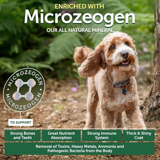 Nature's Protection Dry Dog Food for Small Breed - High Protein, Grain Free, Tear Stain Formula - Dog Kibble for Puppy & Adult Dogs with Red Fur (Superior Care - Salmon, 22 lb)