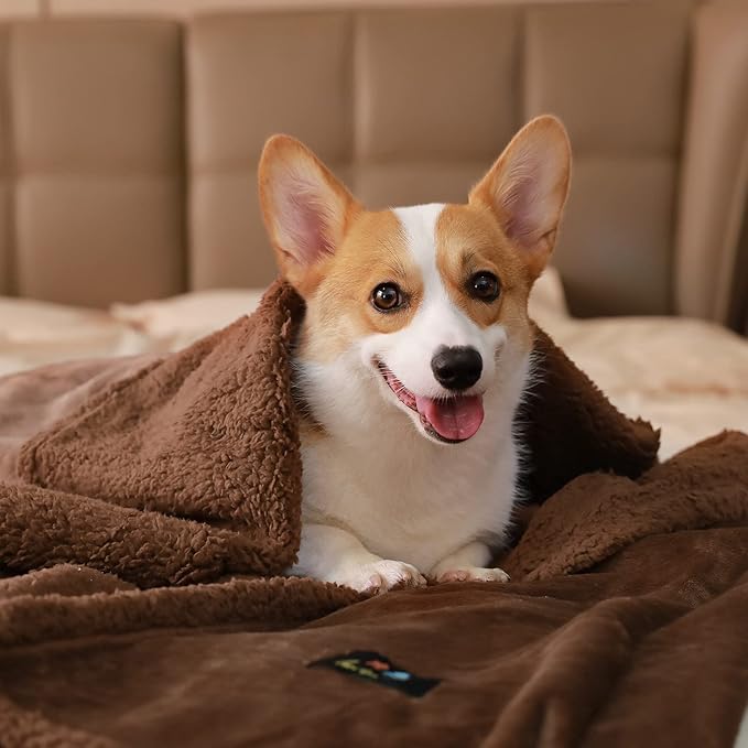 Luciphia Waterproof Bed Blanket Washable,Soft Sherpa Fleece Puppy Reversible Throw Blankets for Small Dog Cat, Furniture Cover Protector Couch Bed from Liquid Pee and Pet Fur, Coffee, 40" x 28"