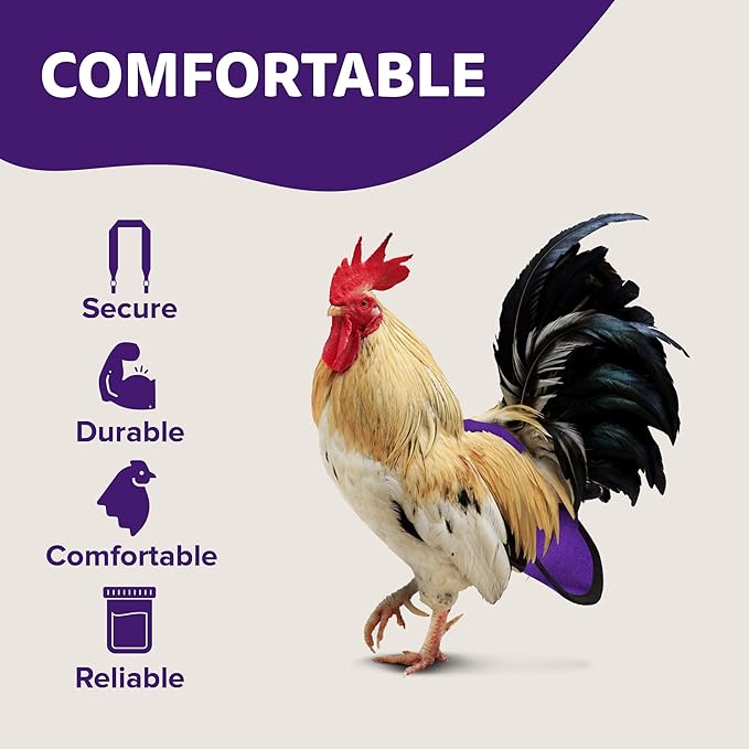 Hen Holster Wrap-Around Bird Diaper & Harness for Hens, Roosters, Ducks, Geese - with Removable Vinyl Liner, Adjustable Fit for Outdoor Adventures & Indoor Use - Easy to wear - Large, Purple