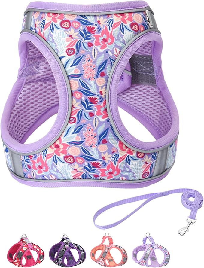 Step in Dog Harness and Leash Set, Flower Adjustable Easy Walk Puppy Harnesses, Soft Mesh Pet Vest Harness Small Size Dog Adjustable No Pull Dog Harness for Small Medium Dogs(Light Purple, S)