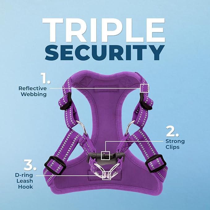 Best Pet Supplies Voyager Mesh Dog Breathable Harness Reflective Stitching, All Weather Adjustable for Walking Training, or Running - Heavy Duty & Durable, Harness Leash Set (Purple), M