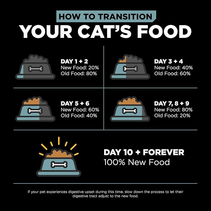 Go! Solutions Digestion + Gut Health, Dry Cat Food, Chicken Recipe with Ancient Grains, 6 lb Bag